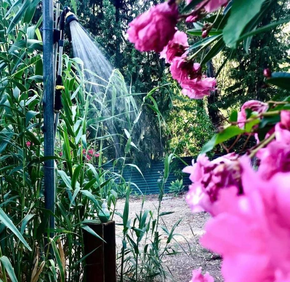 Casa Rural Con Piscina Viajar Con Mascota Gaucín Екстериор снимка