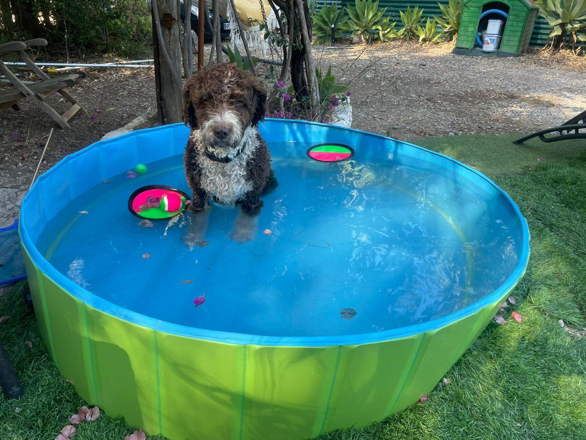 Casa Rural Con Piscina Viajar Con Mascota Gaucín Екстериор снимка
